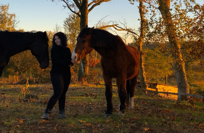 Addestratrice cinofila, Assistente veterinaria, percorso Parelli e horsemanship